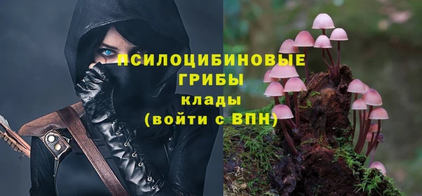 марихуана Абаза