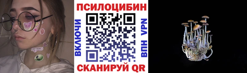 Галлюциногенные грибы мицелий Киренск